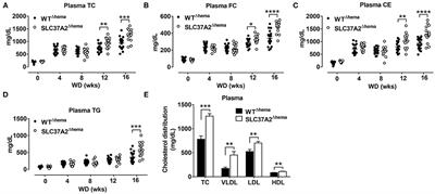 Hematopoietic Cell-Specific SLC37A2 Deficiency Accelerates Atherosclerosis in LDL Receptor-Deficient Mice